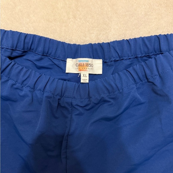 Women’s Blue Striped Pants - Picture 4 of 5